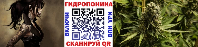 Что такое Фурманов Бошки Шишки  Псилоцибиновые грибы  omg ССЫЛКА  СОЛЬ  Меф  COCAIN  ГАШИШ 