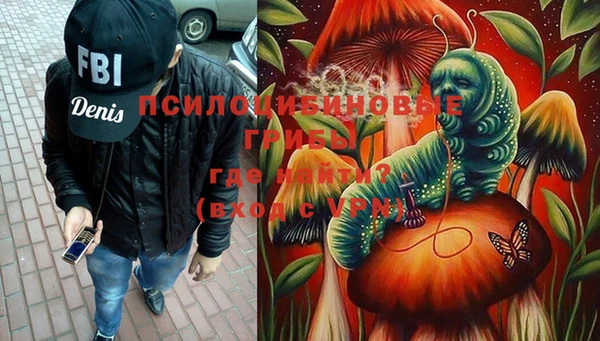 мдпв Белокуриха